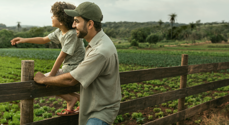 A importância do seguro agrícola na lavoura