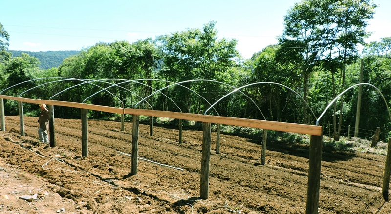 Alimentação saudável incentivada nas escolas com recursos do Fundo Social