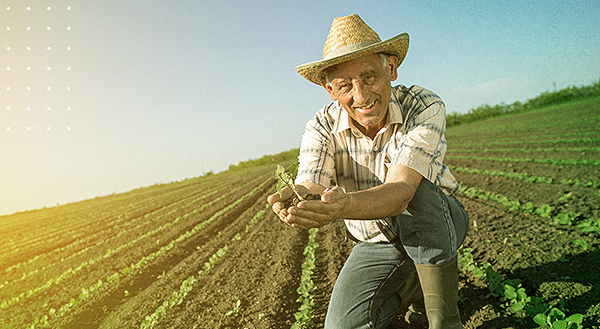 Como investimentos se transformam em desenvolvimento no agronegócio local?