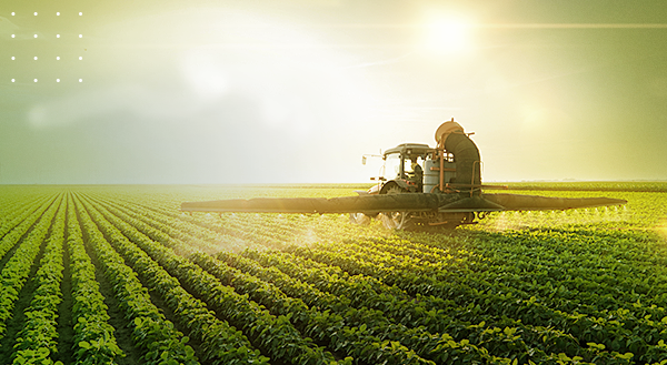 Confira as mudanças e as atrações da Expointer 2021