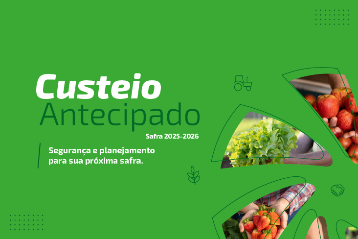 Conheça o Custeio Antecipado da Sicredi Pioneira