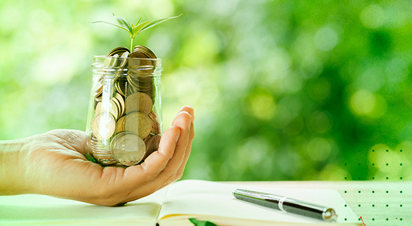 Cooperação na Ponta do Lápis: Jornada da Educação Financeira nas Escolas se inicia em 18 municípios da região