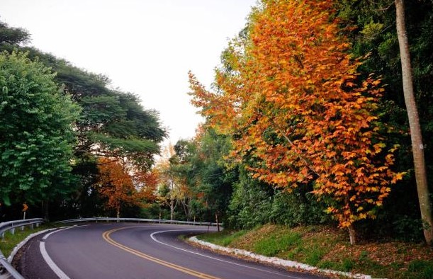 Dia do Turismo| Sicredi Pioneira RS fomenta ações de retomada do setor e consumo local