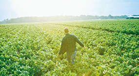 Empreendedor rural pode proteger propriedade e lavoura contra intempéries