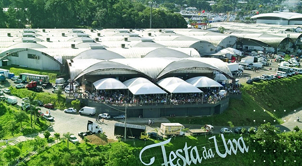 Festa da Uva: o que fazemos para apoiar o turismo da região