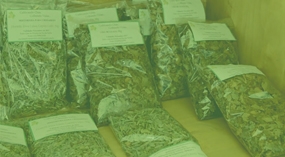 Fundo Social contribui para motivar alunos a permanecerem no campo