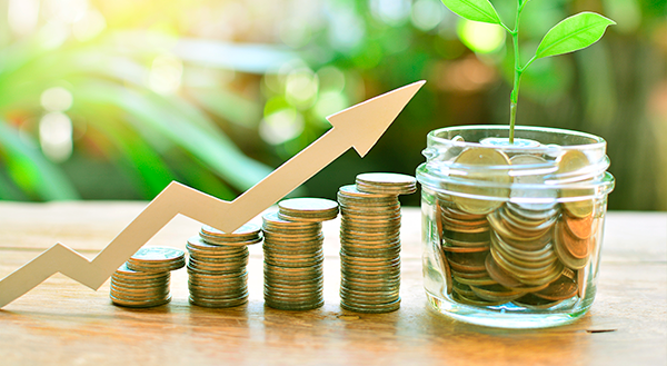 Investimentos: identifique seu perfil para fazer a melhor escolha