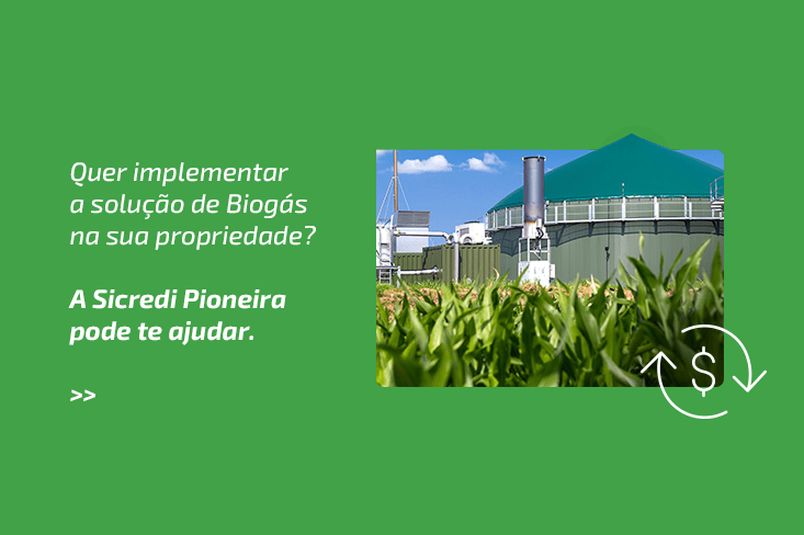 Já ouviu falar de Biogás? Saiba tudo sobre essa fonte de energia sustentável