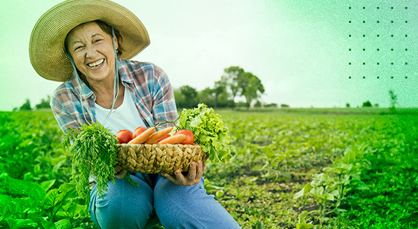 Miniestações meteorológicas são instaladas em 50 propriedades rurais do Projeto Agro