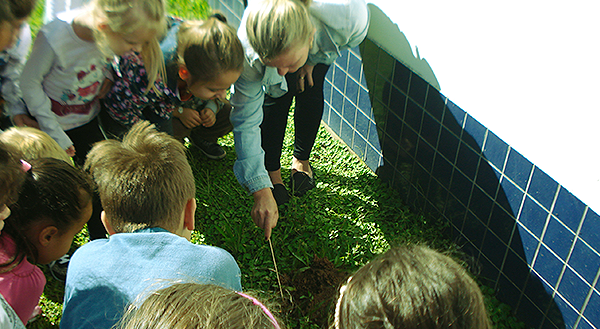 O desenvolvimento de projetos na Educação Infantil