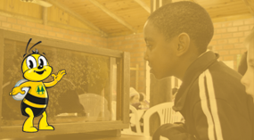 O estudo de campo proporcionado pelo programa "A união faz a vida"