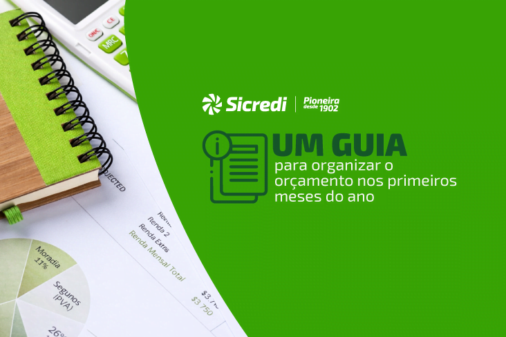 Organização financeira: dicas para um início de ano mais tranquilo