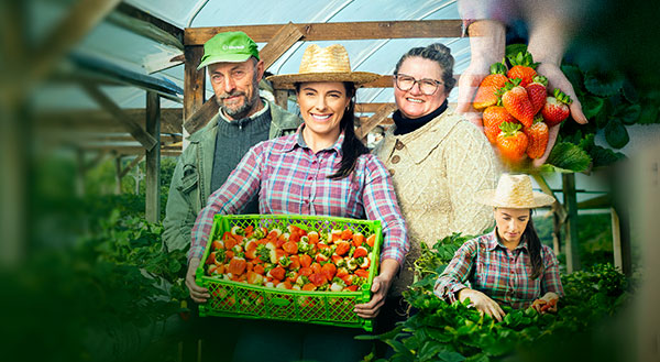 Parceria que desenvolve: Ano Safra e mais 3 soluções da Sicredi Pioneira para a sua propriedade rural. Confira!