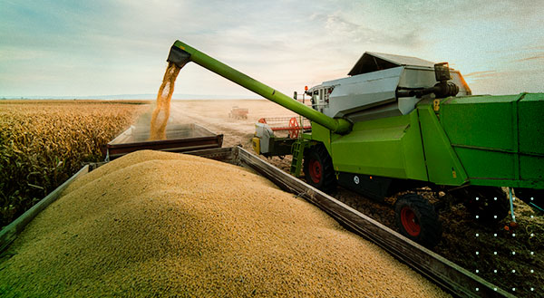 Parceria que faz a diferença: tudo o que você precisa saber sobre o Plano Safra!