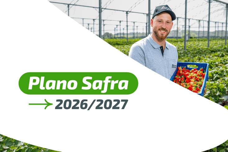 Plano Safra 2026/2027: parceria que faz a diferença no agro