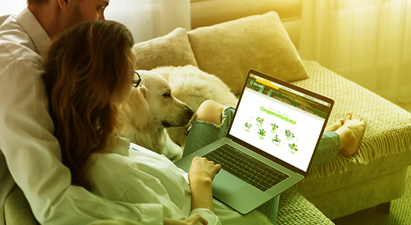 Por que faremos assembleias digitais em 2021