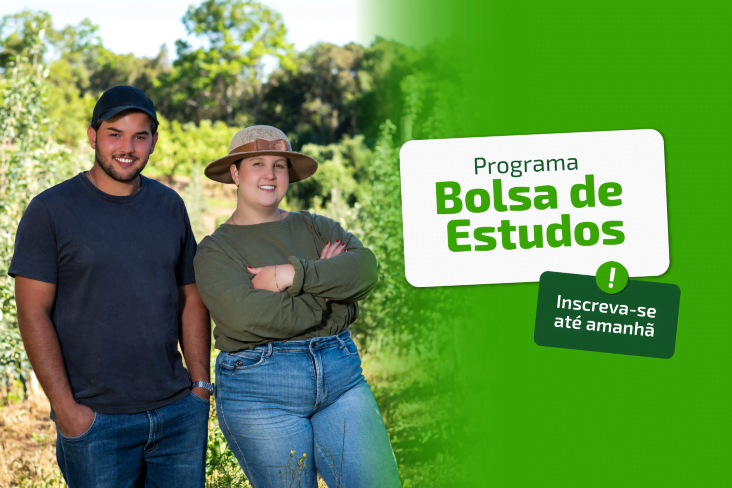 Programa Bolsa de Estudos: inscrições encerram amanhã