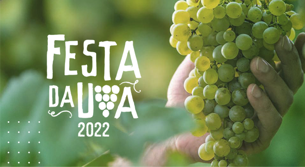 Saiba como aproveitar o melhor da Festa da Uva!