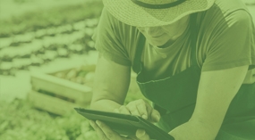 Sicredi apoia cursos e treinamentos voltados ao agronegócio