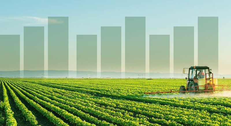 Sicredi é destaque no ranking do BNDES