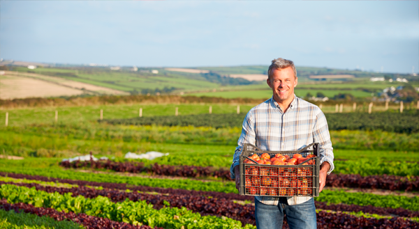 Sicredi libera maior volume de crédito rural entre instituições privadas no 1º semestre do Plano Safra