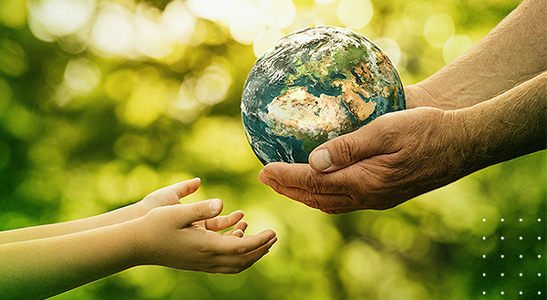 Sicredi Pioneira investe para neutralizar emissões de gases de efeito estufa