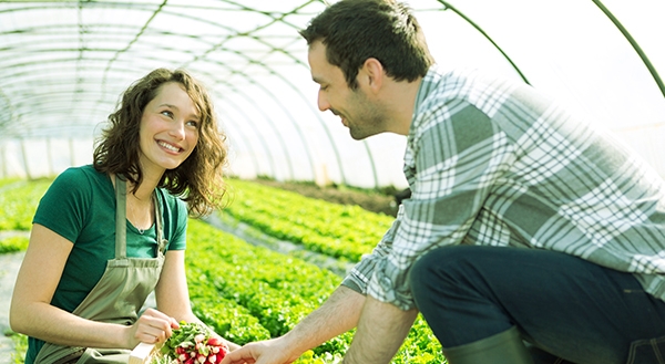 Sicredi Pioneira RS apresenta Plano Safra 2018/2019 para os associados