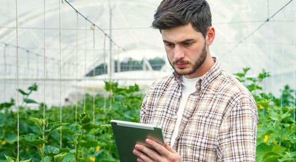 Sicredi Pioneira RS divulga lista dos contemplados com bolsas de estudos para curso técnico em agropecuária