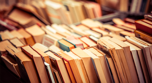 Sicredi Pioneira RS prepara programação especial na 35ª Feira do Livro de Caxias do Sul