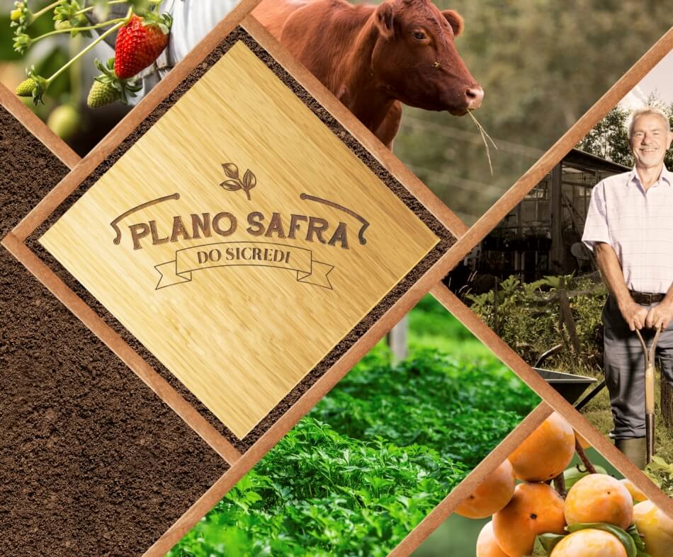 Sicredi Pioneira RS projeta a liberação de R$ 156 milhões para o Plano Safra 2016/2017