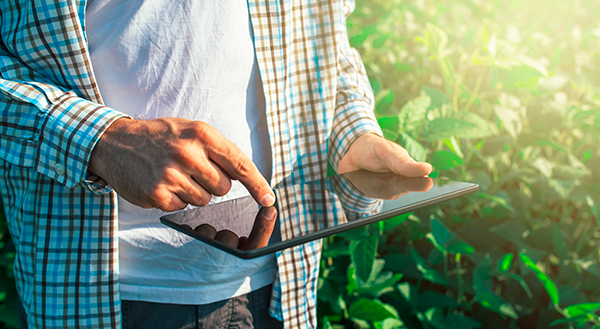 Sicredi se alia a parceiros para oferecer serviços de startups em apoio ao agronegócio