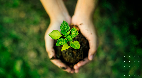 Sustentabilidade na prática: com movimento paperless, Sicredi Pioneira reduz impressões de documentos em 30%