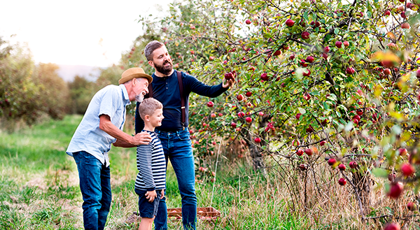 Terceira turma do Sucessão Rural Familiar inicia suas atividades programáticas em 2020