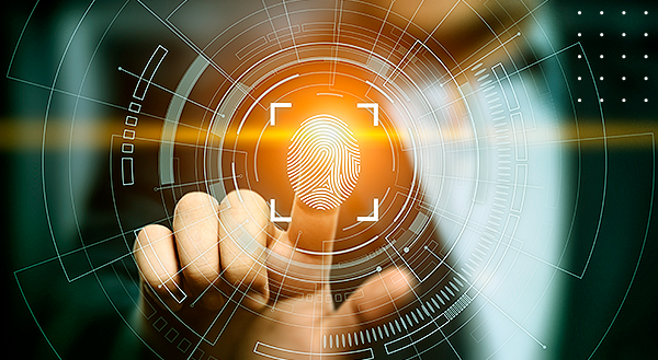 Vazamento de dados no país acende debate sobre segurança digital; saiba como se proteger de golpes