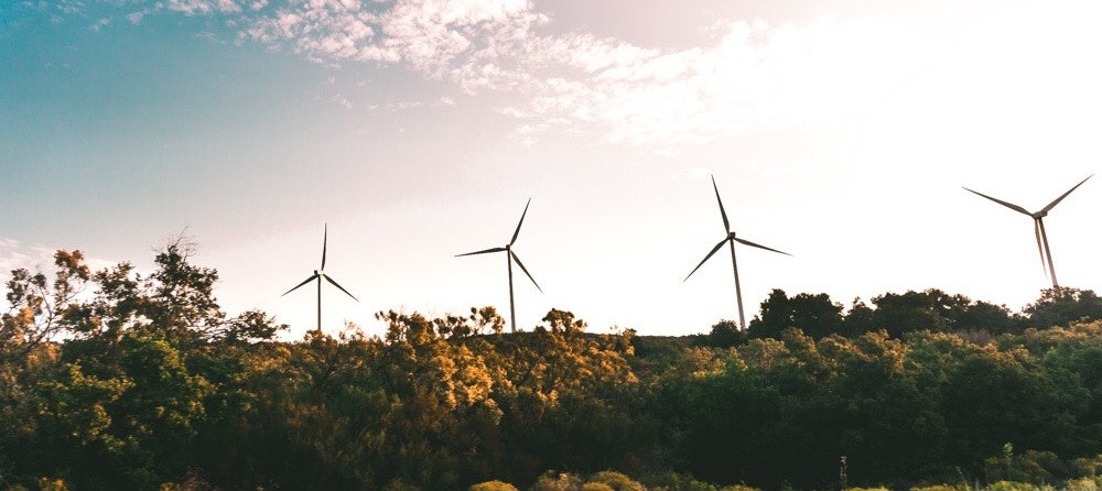 Sustentabilidade financeira, o que é isso?