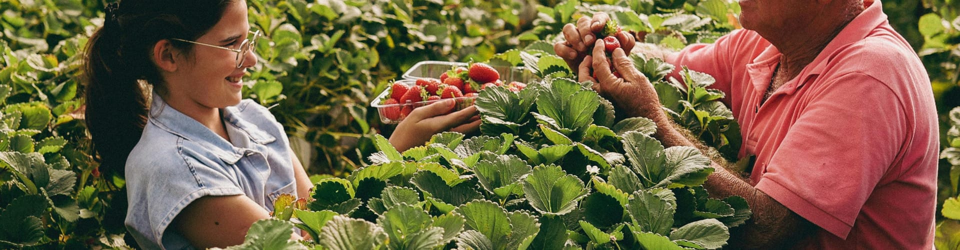 Sucessão Rural Familiar