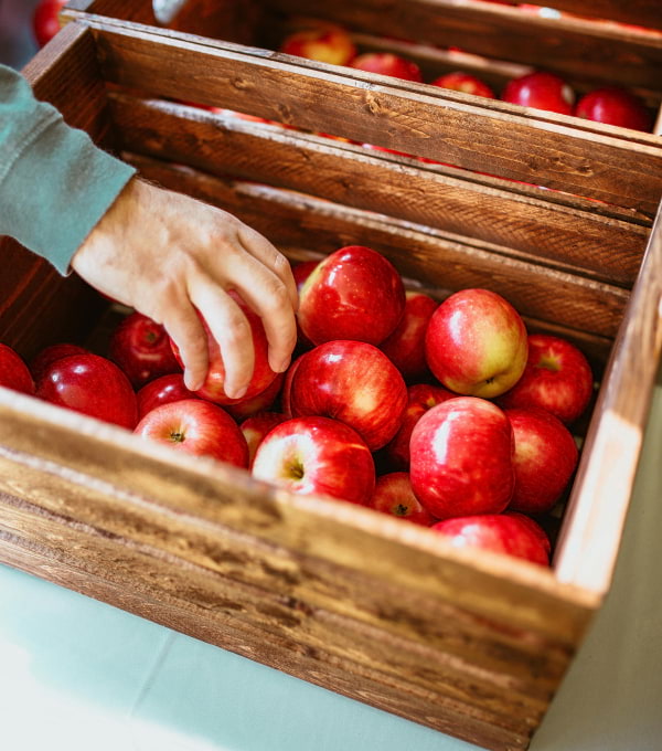 Visitas técnicas às propriedades